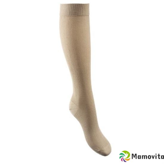 Gilofa 2000 Kniestrumpf Grösse 2 39/41 Beige 1 Paar buy online