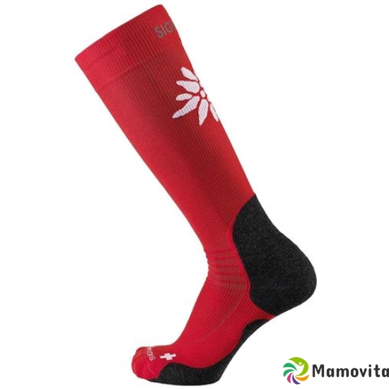 Sigvaris Mountain Socks L 35-38.5 red 1 pair buy online