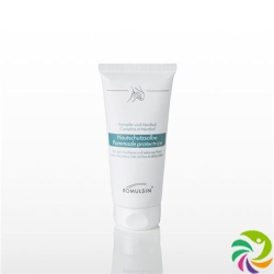 Romulsin skin protection cream with camphor and menthol Tb 200 ml