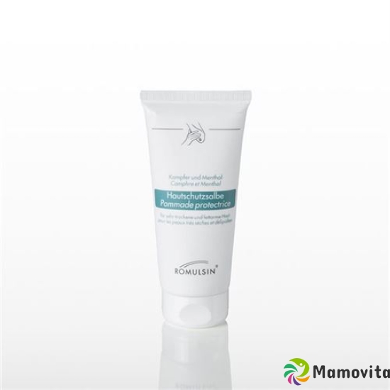 Romulsin skin protection cream with camphor-menthol 5 Tb 200 ml buy online