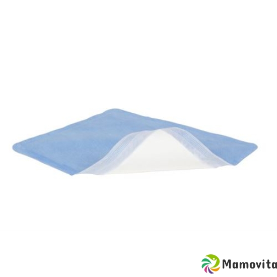 Mextra Superabsorbent 22.5x27.5cm 10 Stück buy online