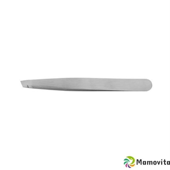 Borghetti tweezers inclined Inox steel polished buy online