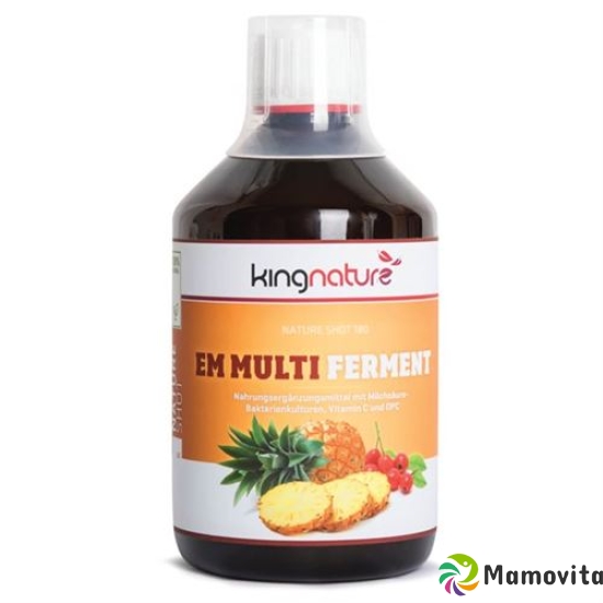 Kingnature Em Multi Ferment Liquid Flasche 500ml buy online