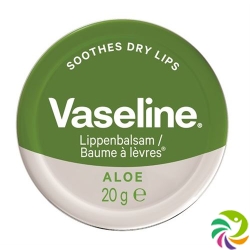 Vaseline Lip Care Tin Aloe Vera 20g