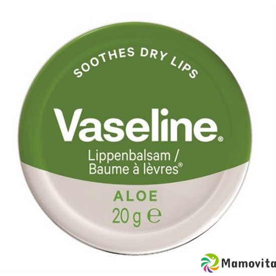 Vaseline Lip Care Tin Aloe Vera 20g buy online