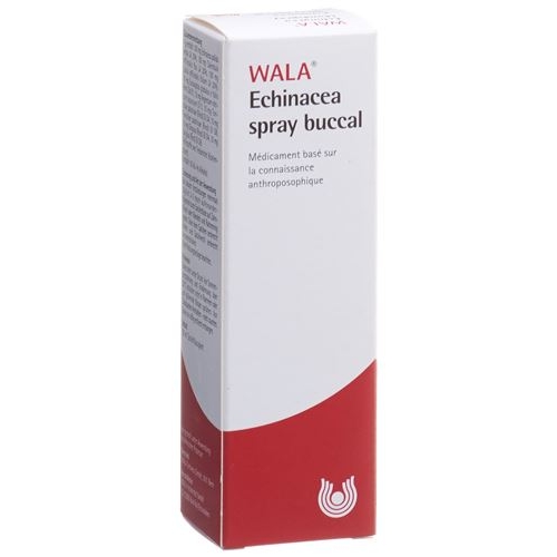 Wala Echinacea Mund- und Rachenspray Flasche 50ml buy online