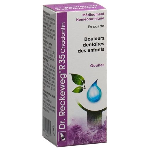 Reckeweg R35 Chadontin Tropfen Flasche 50ml buy online