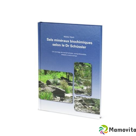 Biochimiques Sels Miner S Dr Schüssler Walter Kae buy online