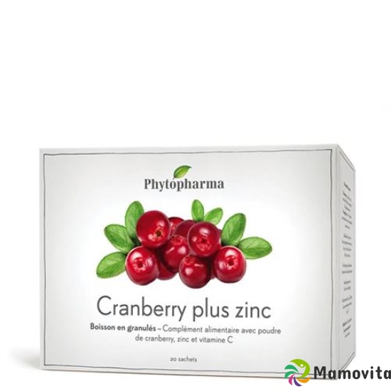 Phytopharma Cranberry Plus Zink Beutel 20 Stück buy online