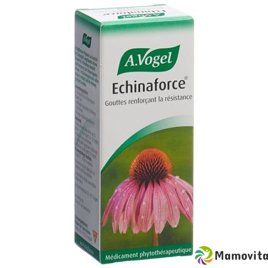 A. Vogel Echinaforce drops 50 ml buy online