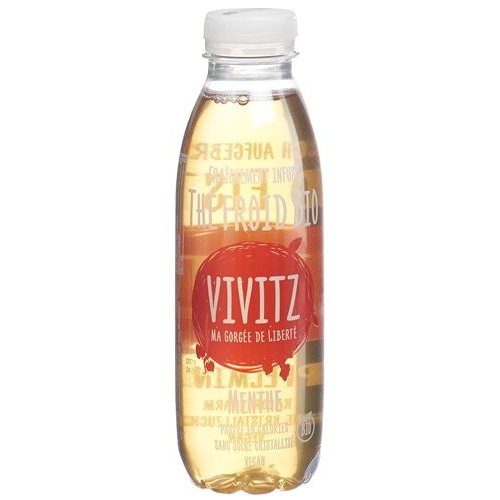 VIVITZ organic iced tea apple mint 6 x 0.5 lt buy online