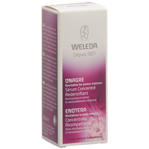 Weleda Evening Primrose Firming Build-up Concentration 30 ml buy online