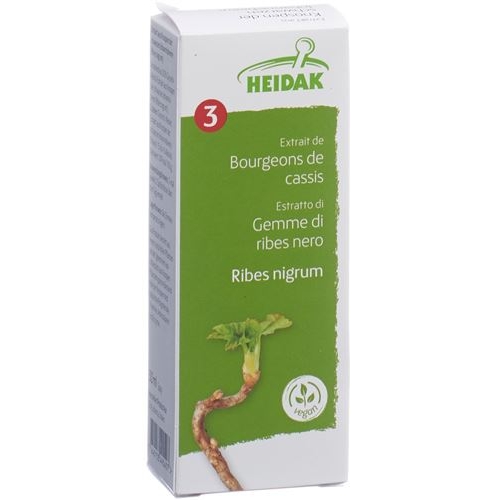 Heidak Knospe Johannisb Rib Nig Glyc Maz Flasche 500ml buy online