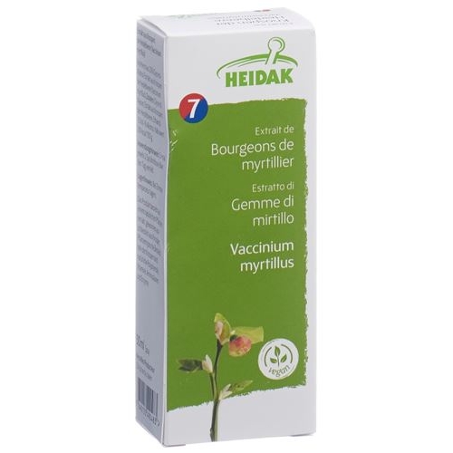 Heidak Knospe Heidelbeer Vaccin Glyc Maz Flasche 500ml buy online