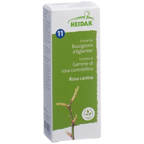 Heidak Knospe Hagebutte Ros Can Glyc Maz Flasche 500ml buy online