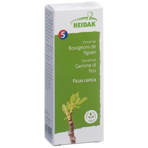 Heidak Knospe Feige Ficus Glyc Maz Flasche 500ml buy online