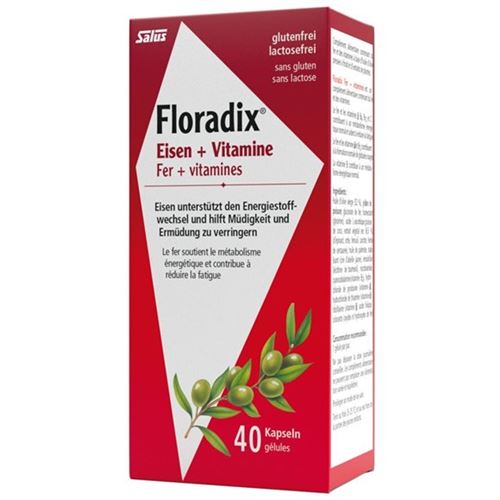 Floradix Vitamins + Organic Iron Capsules 40 Piece buy online