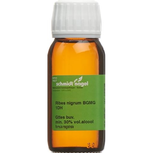 Sn Ribes Nigrum Bg Glyc Maz Dh 1 125ml buy online