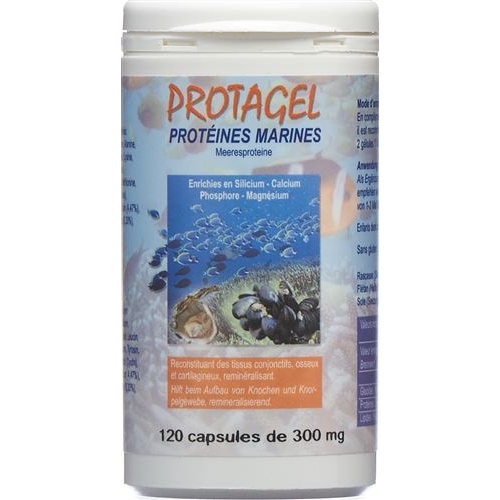 Protagel Complex Acides Amines Dose 240 Stück buy online