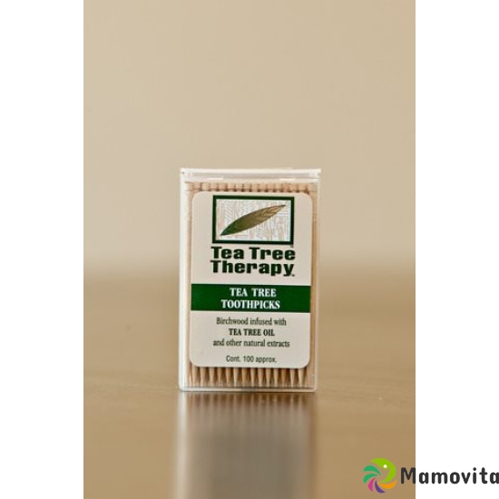 Tea Tree Zahnstocher Tea Tree Box buy online