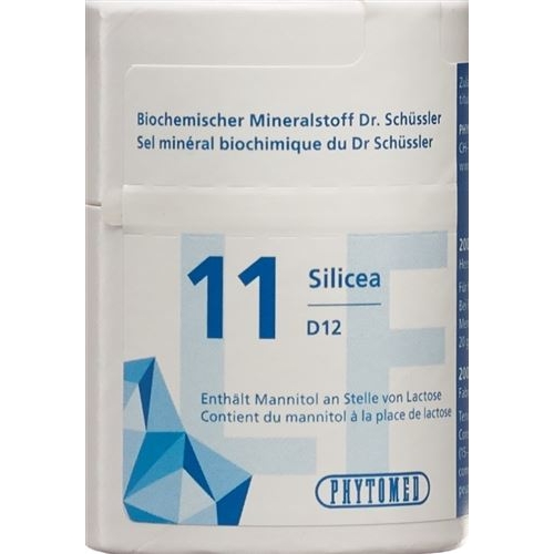 Phytomed Schüssler Nr. 11 Tabletten D 12 Lactosefrei 2000 Stück buy online