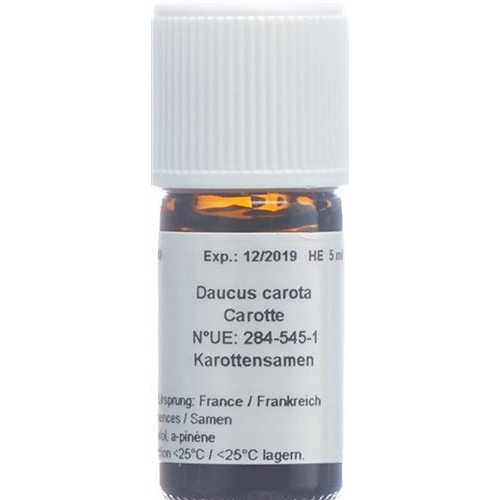 Aromasan Äth carrot seed / oil 30 ml buy online