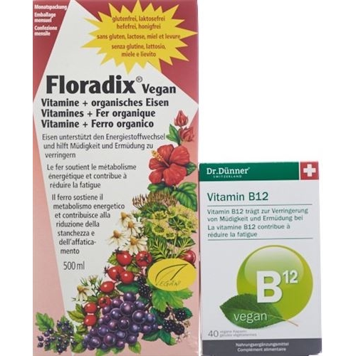 Floradix HA Vitamins + Organic Iron Bottle 500 ml buy online