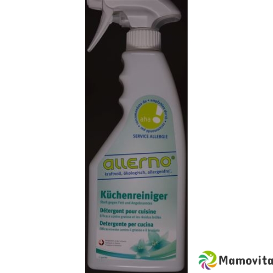 allerno kitchen cleaners Spr 500 ml buy online