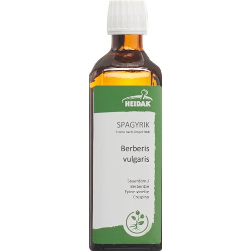 HEIDAK Spagyrik Berberis vulgaris Bottle 250 ml buy online