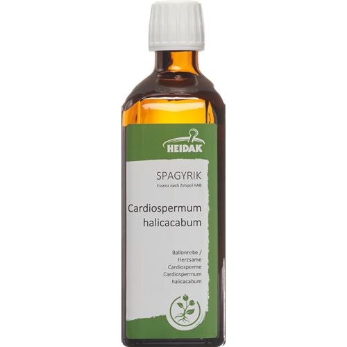 HEIDAK Spagyrik Cardiospermum halicacabum Fl 250 ml buy online