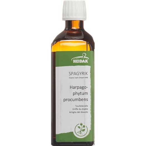 HEIDAK Spagyrik Harpagophytum procumbens Fl 250 ml buy online