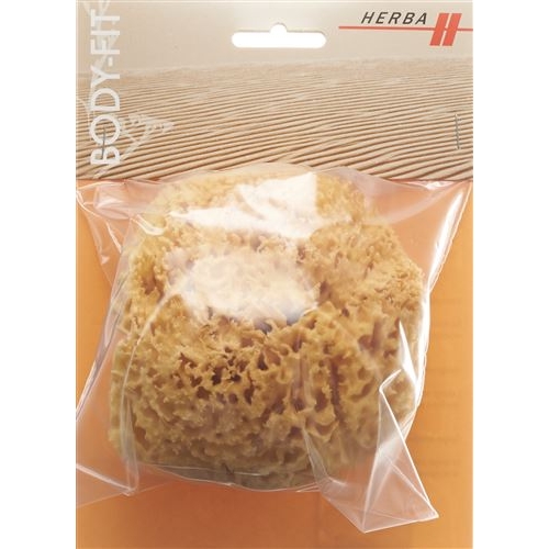 Herba Body Fit Naturschwamm Durchmesser 11 cm buy online