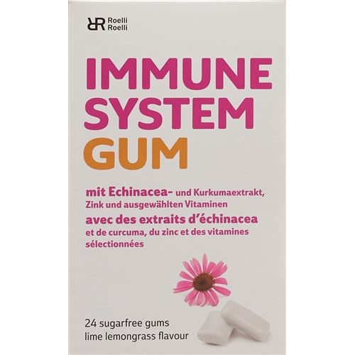 R&r Immune System Gum 24 Stück buy online