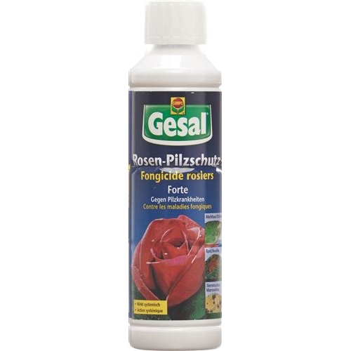 Gesal Rosen Pilzschutz Forte 1L buy online