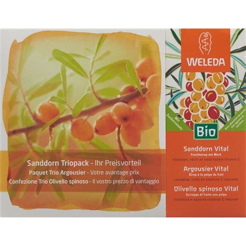 Weleda Sanddorn Vital Sirup Trio 3 Flasche 200ml buy online