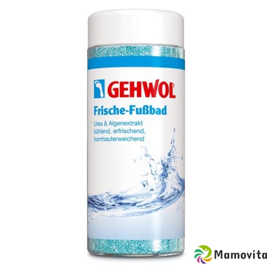 Fresh GEHWOL footbath 330 g buy online