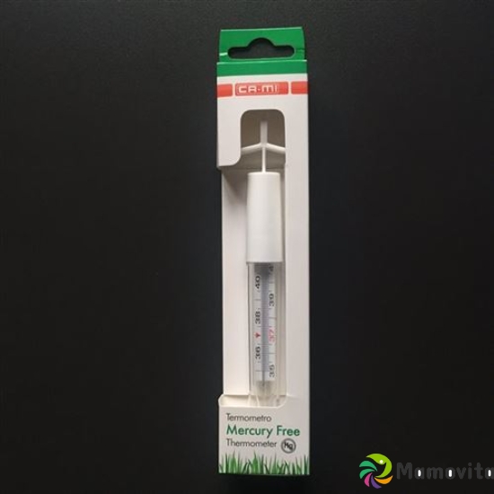 T-flap thermometer Mercury Free buy online