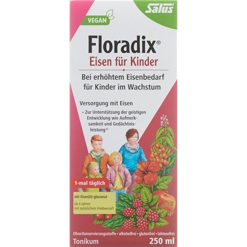 Floradix Eisen für Kinder Saft Flasche 250ml buy online