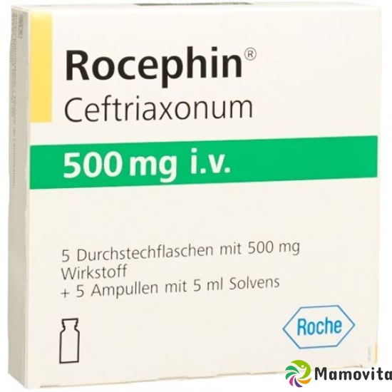 Rocephin 500mg i.v. C Solv Durchstechflasche 5 Stück buy online