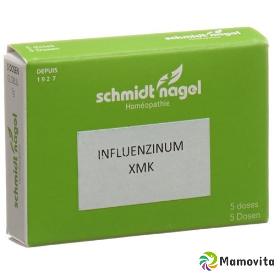 SN Influenzinum XMK buy online