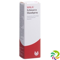 Wala Echinacea Mund- und Rachenspray Flasche 50ml