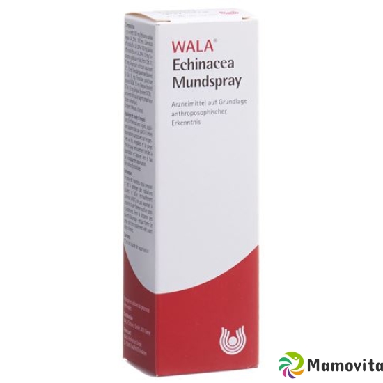 Wala Echinacea Mund- und Rachenspray Flasche 50ml buy online