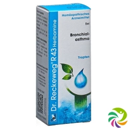 Reckeweg R43 Herbamine Tropfen Flasche 50ml