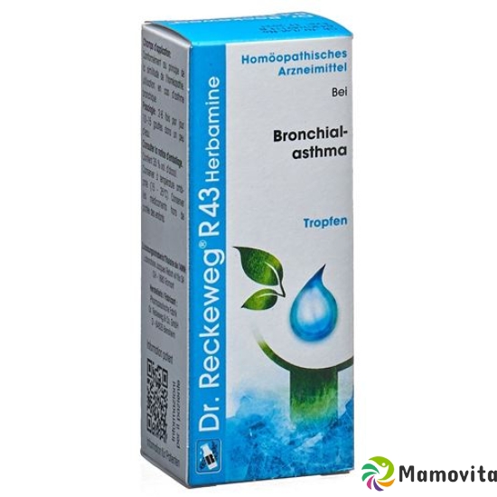 Reckeweg R43 Herbamine Tropfen Flasche 50ml buy online