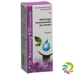 Reckeweg R35 Chadontin Tropfen Flasche 50ml