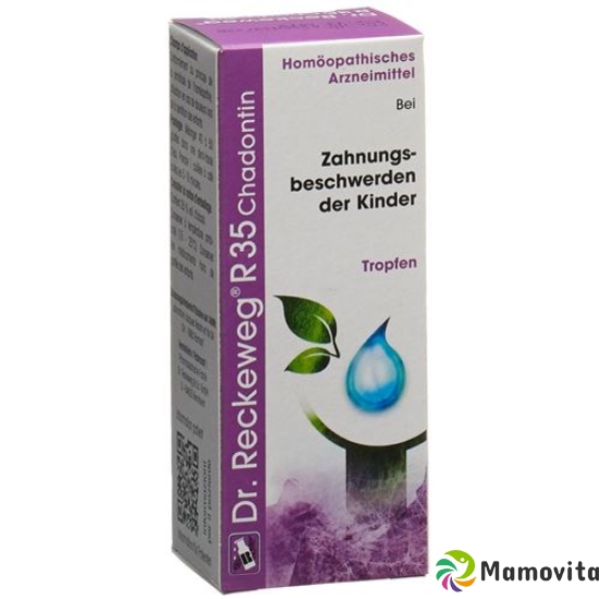 Reckeweg R35 Chadontin Tropfen Flasche 50ml buy online