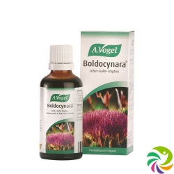 A. Vogel Boldocynara Tropfen 50ml