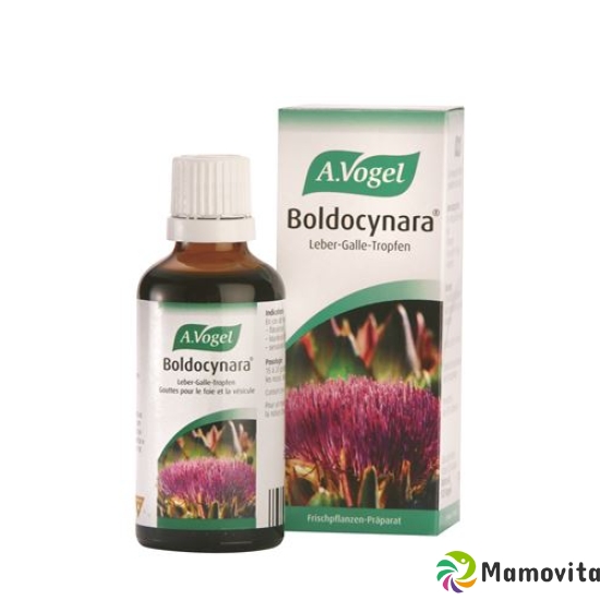 A. Vogel Boldocynara Tropfen 50ml buy online