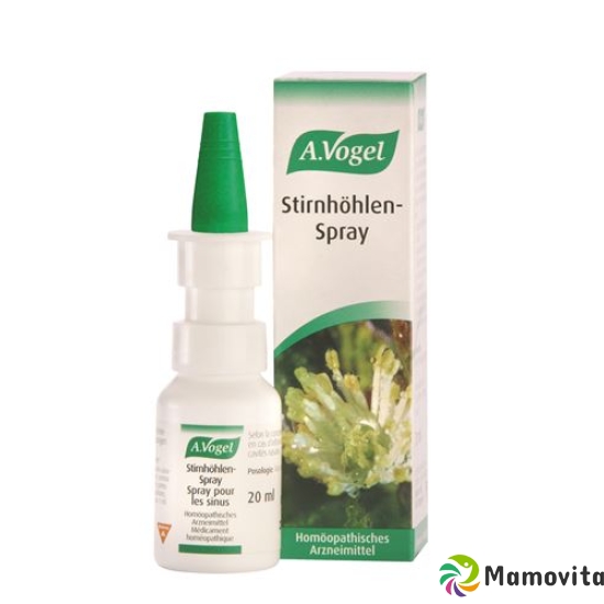 Vogel Stirnhoehlen Dosierspray Flasche 20ml buy online