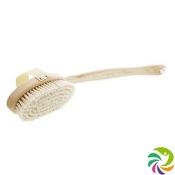 Bz bath brush beech wood oval bristle mix